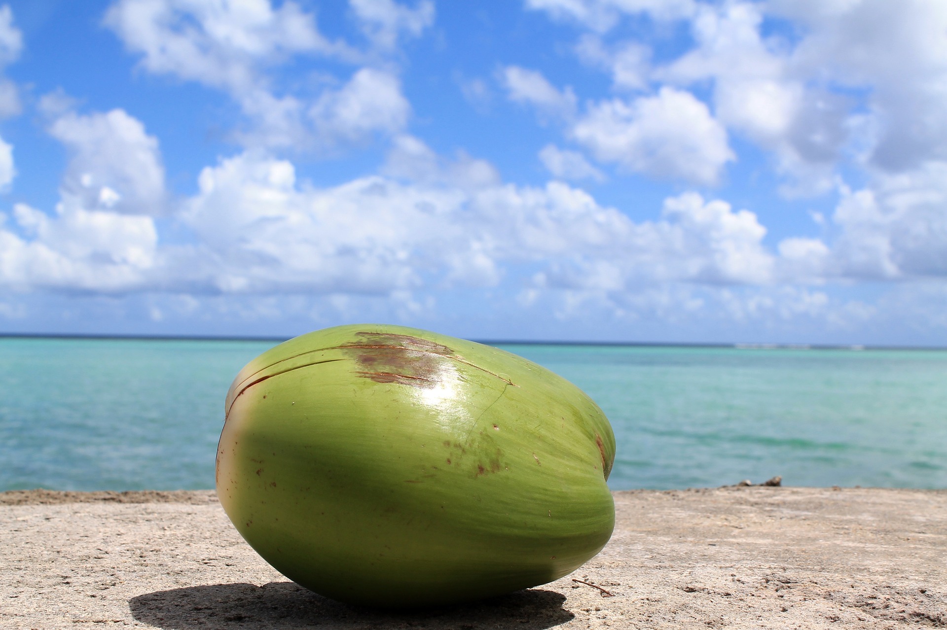 woda kokosowa