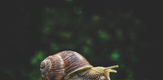 Do czego śluzy frez kulka?