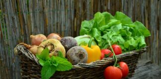Gdzie można kupić produkty NUTRIDOME?