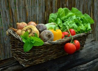 Gdzie można kupić produkty NUTRIDOME?